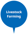 Livestock Farming