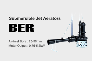 BER