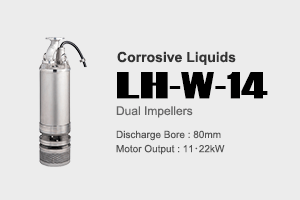 LH-W-14